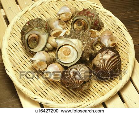 Stock Image - Sea shells on a wicker plate. Fotosearch