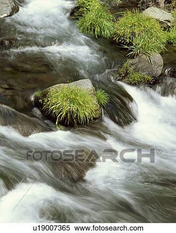 Stock Photography - Shiraito waterfall. Fotosearch