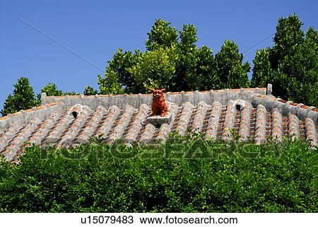 Stock Image - Shisa. Fotosearch