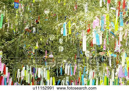 Star Festival View Large Photo Image Stock Image - Star Festival. Fotosearch