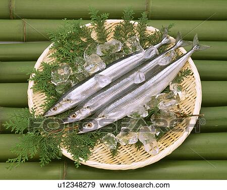 Stock Photo - Three raw saury fish on a wicker plate. Fotosearch