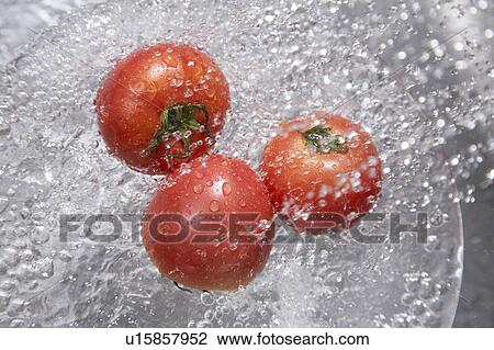 Tomatoes getting washed View Large Photo Image Stock Image - Tomatoes getting washed. Fotosearch