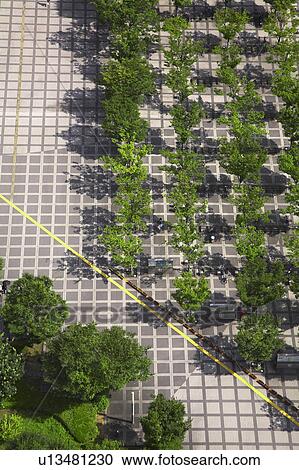 Stock Image - Trees in concrete. Fotosearch