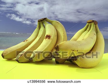 Two bananas on a table in front of the ocean View Large Photo Image Stock Photograph - Two bananas on a table in front of the ocean. Fotosearch