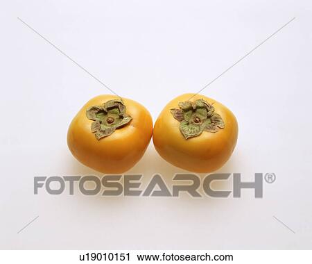 Two Persimmons View Large Photo Image Stock Image - Two Persimmons. Fotosearch