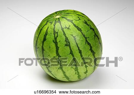 Watermelon View Large Photo Image Picture - Watermelon. Fotosearch