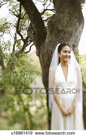 Bride standing under a tree and smiling View Large Photo Image Stock Photo - Bride standing under a tree and smiling. Fotosearch