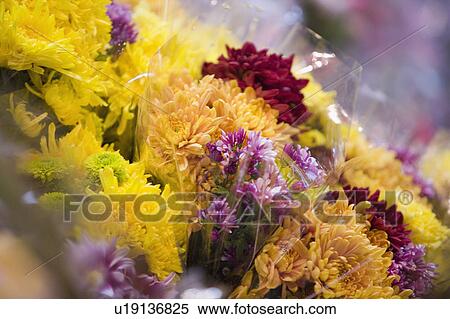 Stock Photography - Close-up of flowers at a flower shop. Fotosearch