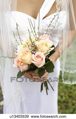 Mid section view of a bride holding a bouquet of flowers View Large Photo Image Stock Photo - Mid section view of a bride holding a bouquet of flowers. Fotosearch