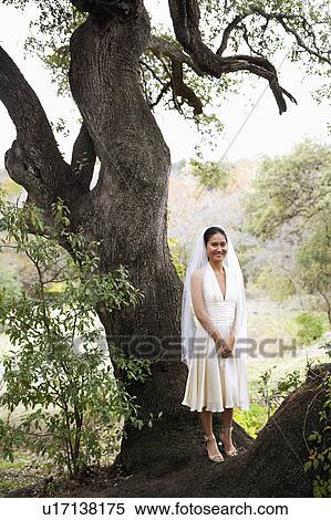 Portrait of a bride standing under a tree and smiling View Large Photo Image Stock Photography - Portrait of a bride standing under a tree and smiling. Fotosearch