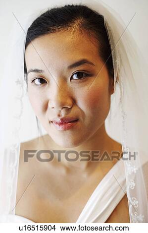 Portrait of a bride wearing a veil View Large Photo Image Picture - Portrait of a bride wearing a veil. Fotosearch