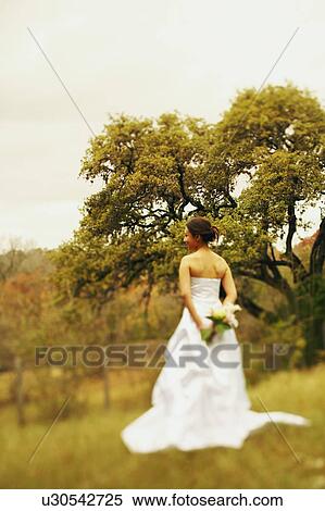 Rear view of a bride holding a bouquet of flowers View Large Photo Image Stock Photography - Rear view of a bride holding a bouquet of flowers. Fotosearch