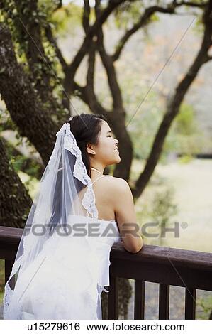 Rear view of a bride leaning against a railing View Large Photo Image Stock Photograph - Rear view of a bride leaning against a railing. Fotosearch