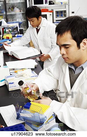 Side profile of two male pharmacists in a laboratory View Large Photo Image Stock Image - Side profile of two male pharmacists in a laboratory. Fotosearch