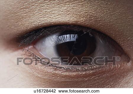Close-up of a human eye View Large Photo Image Stock Image - Close-up of a human eye. Fotosearch