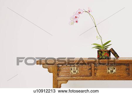 Stock Image - Close-up of a potted plant in a container on a wooden desk. Fotosearch