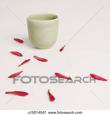 Stock Photo - Flower petals near a tea cup. Fotosearch