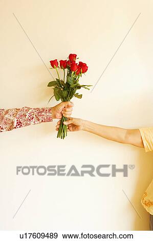 Mid section view of two people holding a bunch of flowers View Large Photo Image Stock Photo - Mid section view of two people holding a bunch of flowers. Fotosearch