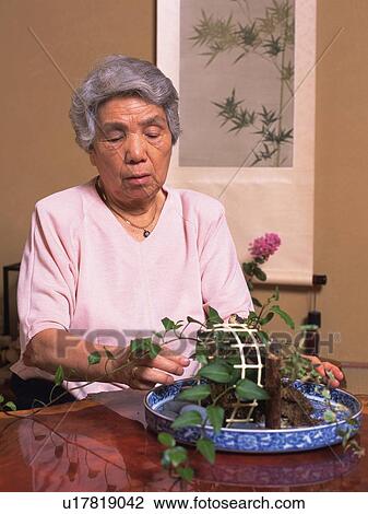 Stock Image - Senior adult woman arranging flowers, Front View. Fotosearch