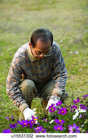 Black Hair, Close-Up, Casual Clothing, Button Down Shirt, Asian Ethnicity View Large Photo Image Stock Image - Black Hair, Close-Up, Casual Clothing, Button Down Shirt, Asian Ethnicity. Fotosearch