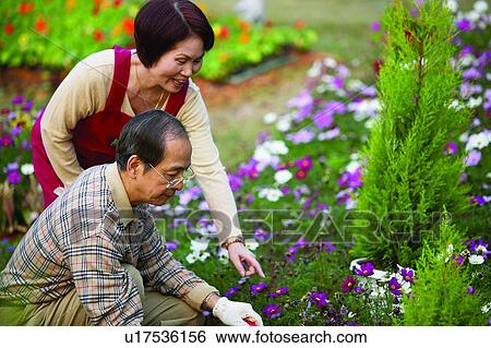 Stock Photograph - Close-Up, Crouching, Lifestyles, Flower, Garden, Grass. Fotosearch