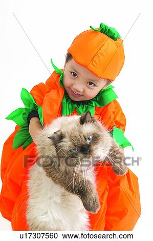 Stock Image - Feline, Close-Up, Indoor, Clipping Path, Childhood, One Animal. Fotosearch