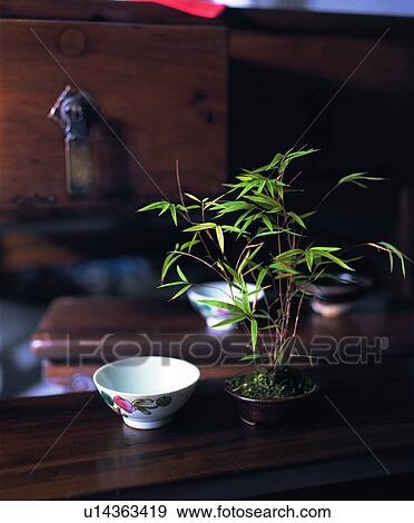 old, oriental, traditional, plant View Large Photo Image Stock Photo - old, oriental, traditional, plant. Fotosearch