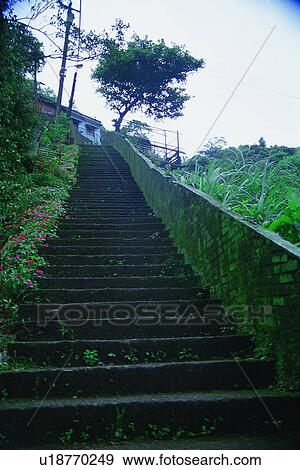 Stock Photo - traditional, grass, tree, steps, oriental, old, stairs. Fotosearch