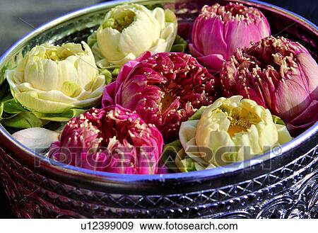 Stock Photo - , Floating, Container, Outdoor, Vessel. Fotosearch