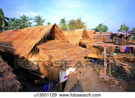 Stock Photo - Malaysia, Asia, Sunlight, Rural Scene, Day, Tree, Village. Fotosearch