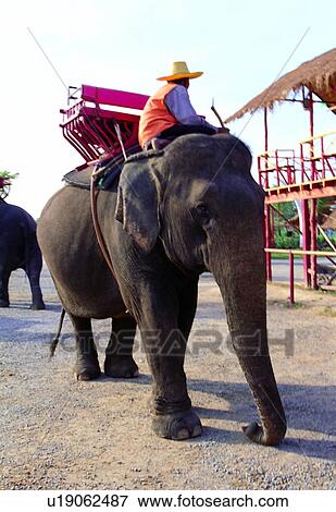Stock Photo - Southeast Asia, Hat, Sky, Riding, Malaysia. Fotosearch