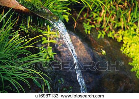 Bamboo Water Pipe View Large Photo Image Stock Image - Bamboo Water Pipe. Fotosearch
