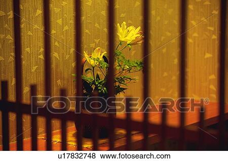 Flowers Arranged View Large Photo Image Stock Photo - Flowers Arranged. Fotosearch