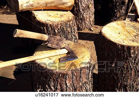 Wood Chopping View Large Photo Image Stock Photo - Wood Chopping. Fotosearch