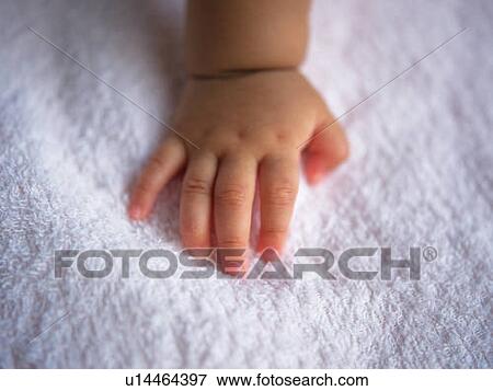 Baby's right hand, high angle view View Large Photo Image Stock Photo - Baby's right hand, high angle view. Fotosearch