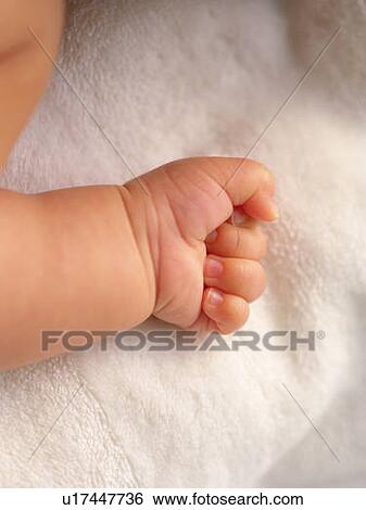 Close up baby's left hand, high angle view View Large Photo Image Stock Photograph - Close up baby's left hand, high angle view . Fotosearch