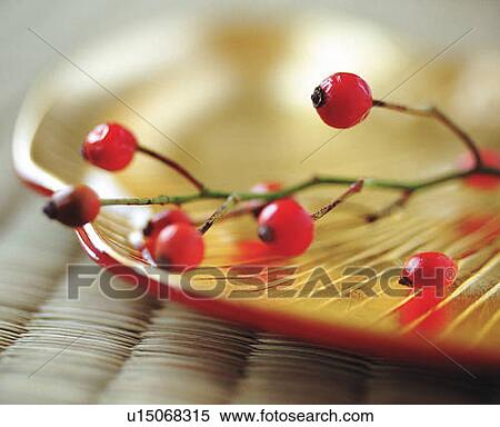 Stock Photography - Red berries on shell-shaped gold plate, high angle view, close up, differential focus. Fotosearch