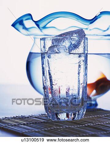 A glass of water and goldfish in a glass bowl, front view, white background, differential focus View Large Photo Image Stock Photo - A glass of water and goldfish in a glass bowl, front view, white background, differential focus. Fotosearch