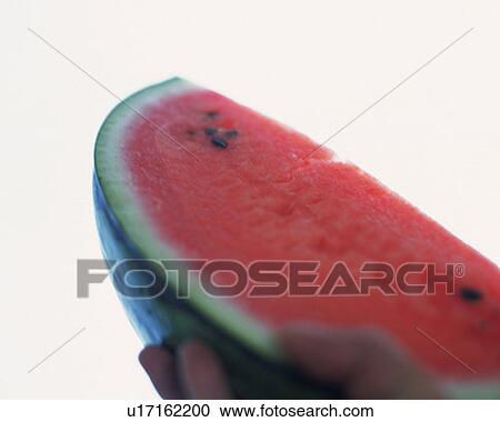 Human hand holding a slice of watermelon, low angle view, white background, differential focus View Large Photo Image Stock Image - Human hand holding a slice of watermelon, low angle view, white background, differential focus. Fotosearch