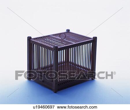 Stock Photo - Insect cage, high angle view, white background. Fotosearch