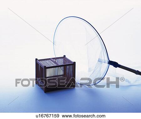 Stock Photo - Insect net and insect cage, high angle view, white background. Fotosearch