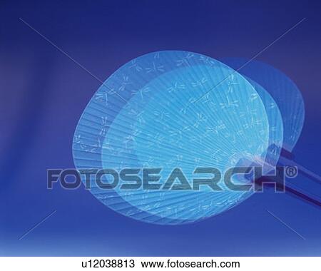 Stock Image - Japanese fan, front view, blue background, blurred motion. Fotosearch