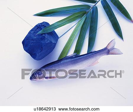 Japanese trout with stone and bamboo leaves, side view, white background View Large Photo Image Stock Image - Japanese trout with stone and bamboo leaves, side view, white background. Fotosearch