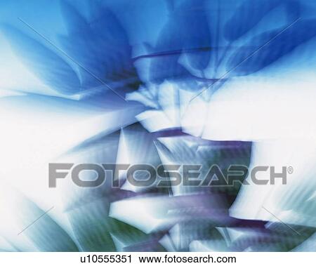 Silhouette of bamboo leaves, front view, blurred motion View Large Photo Image Stock Image - Silhouette of bamboo leaves, front view, blurred motion. Fotosearch