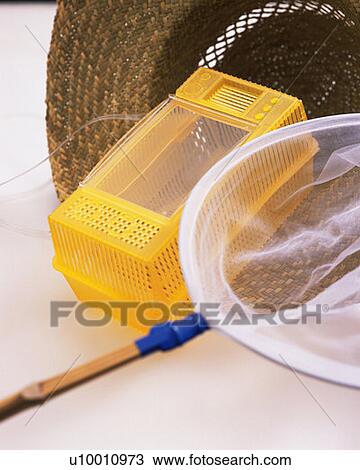 Stock Image - Straw hat, insect net and insect cage, high angle view, white background. Fotosearch