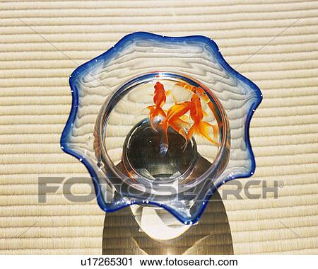 Stock Image - Three goldfishes in a glass bowl, high angle view, Japan. Fotosearch
