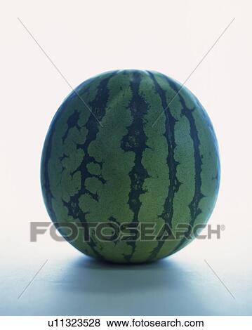 Stock Photo - Whole watermelon, front view, white background. Fotosearch