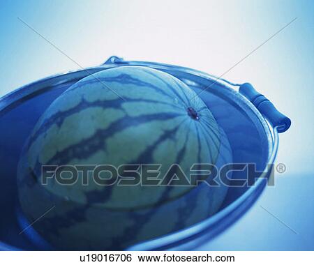Stock Photograph - Whole watermelon in bucket of water, high angle view, toned image. Fotosearch