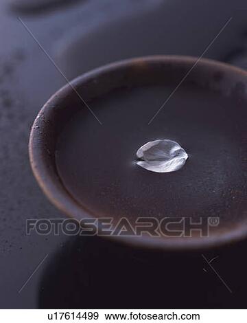 Stock Photo - A petal of cherry flower floating on water in cup, high angle view, differential focus. Fotosearch