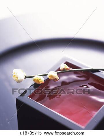 Stock Photography - Sake in square wooden box and buds of plum, high angle view, differential focus. Fotosearch